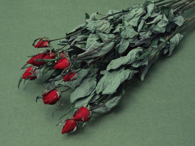 株式会社花留