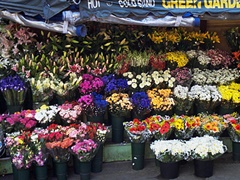 花を売るお店を使い分けるの画像